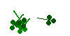 Shamrocks